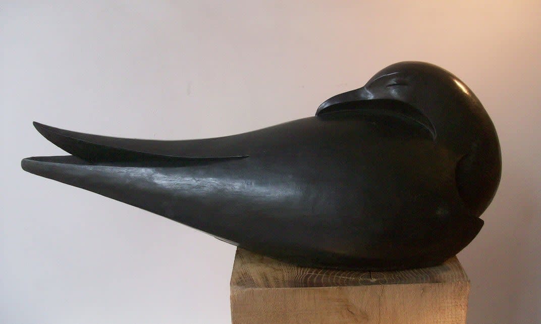 Paul Harvey, Tern Asleep