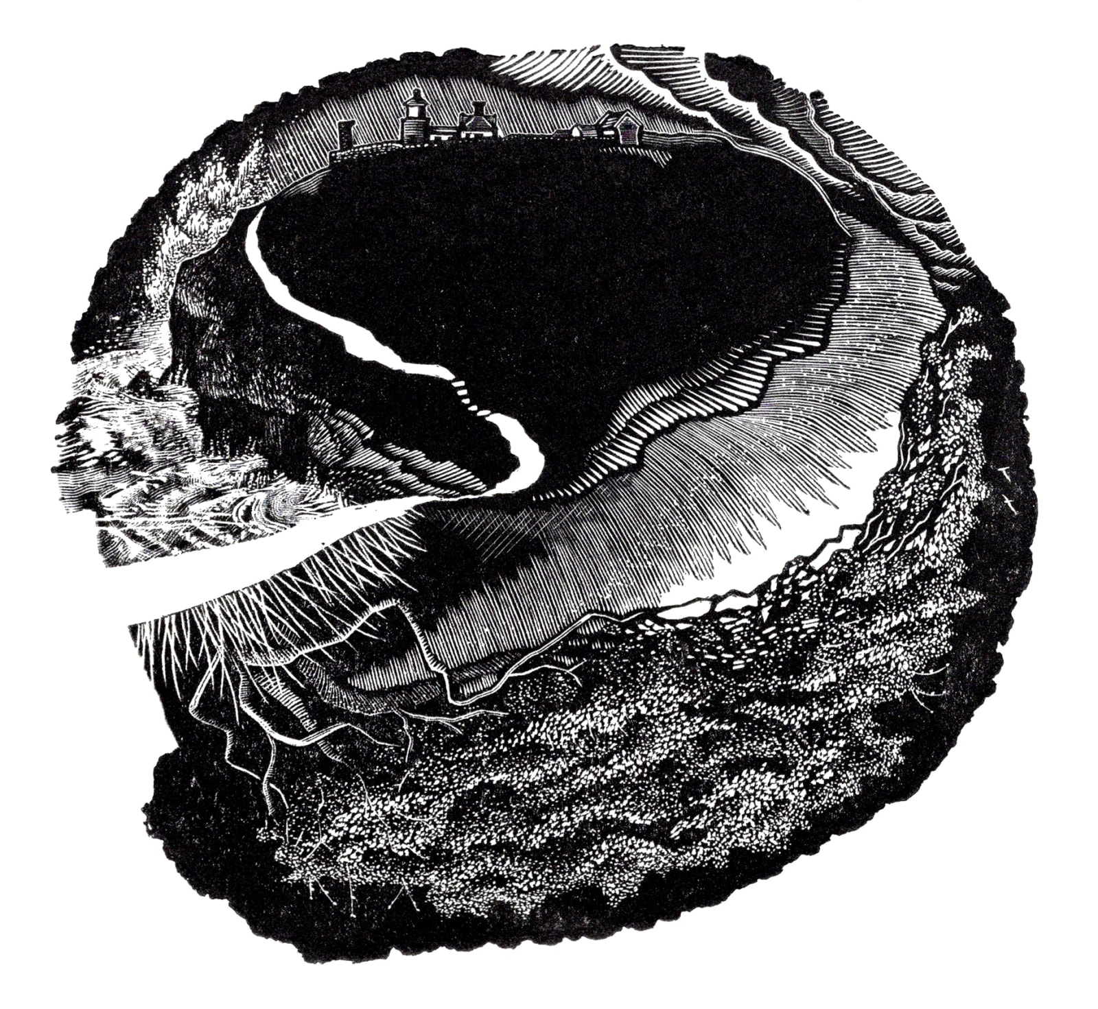 Robin Mackenzie, Windswept 1, 2023