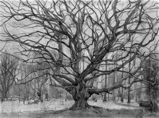 Natasha Lien, Frithsden Beech