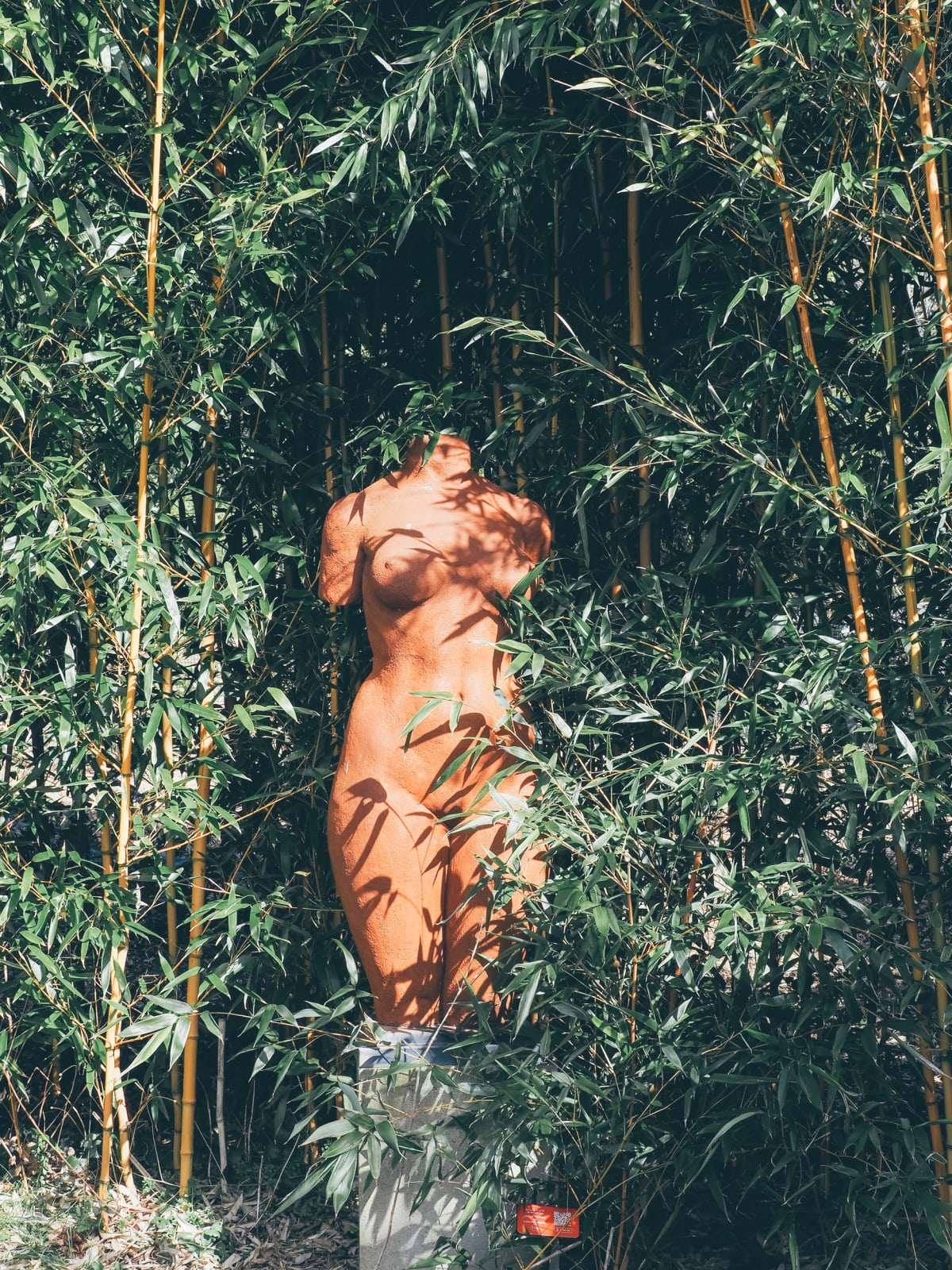 Lucianne Lassalle, Lady of Provence