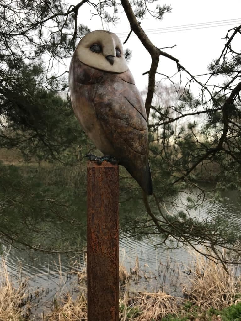 Adam Binder, Barn Owl , 2021