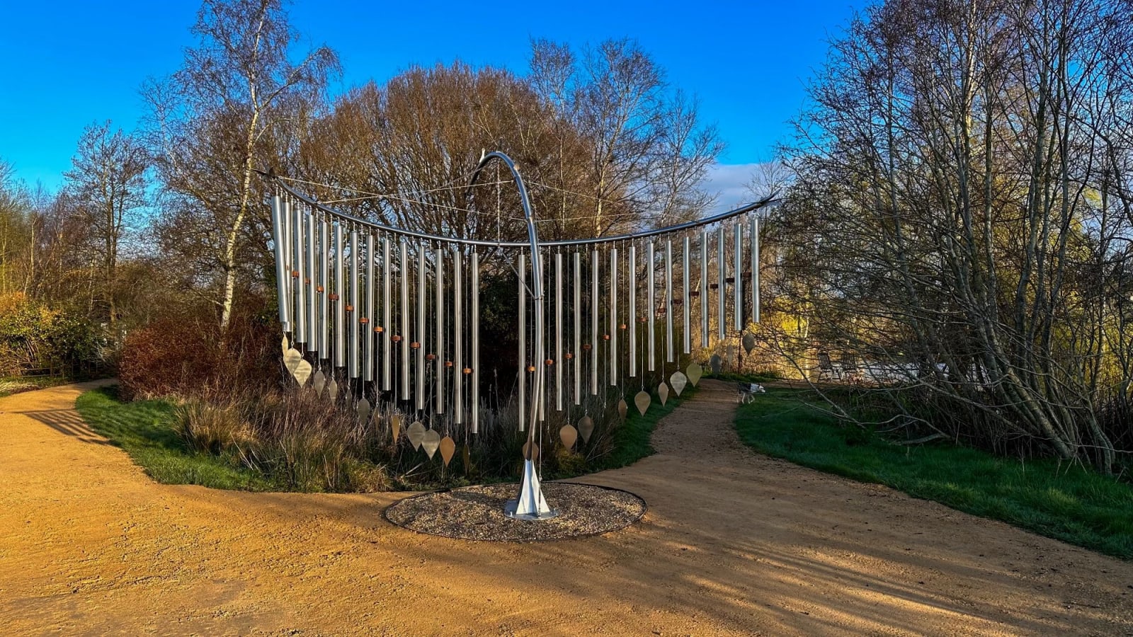 Simon Gudgeon, Songbird, 2024