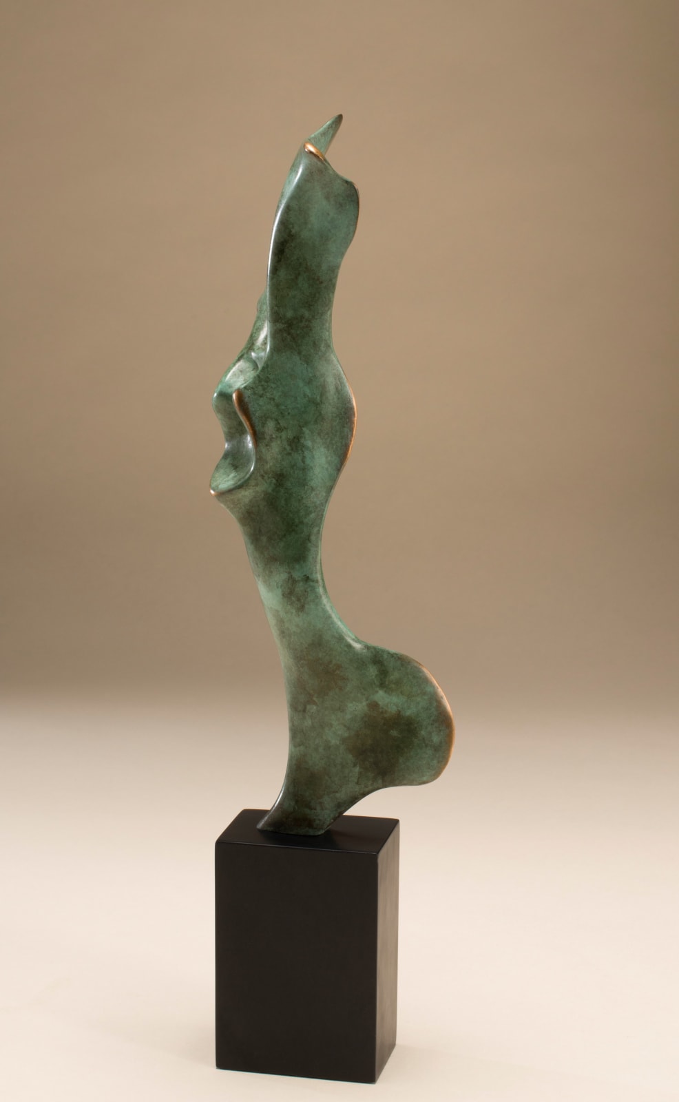 Abstract bronze sculpture of Bone form by sculptor Nicola Godden, displayed on plinth