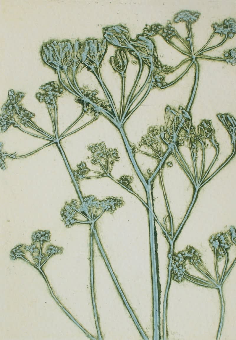 Robin Moorcroft, Lace Edged