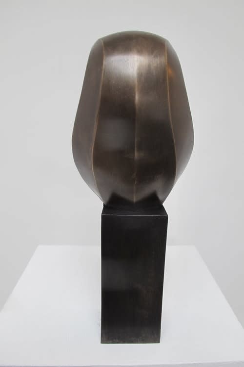 Paul Harvey, Little Owl, 2023