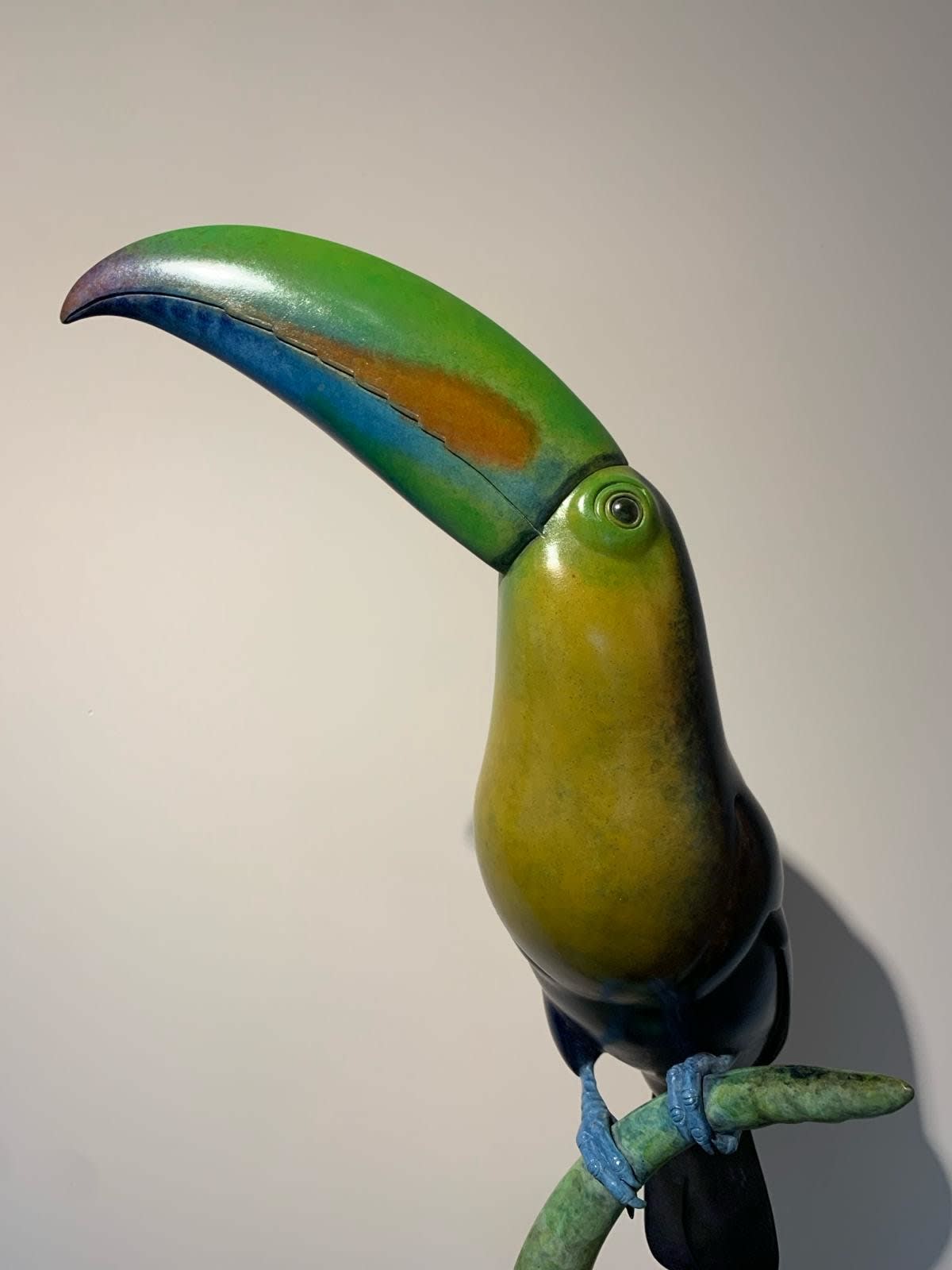 Adam Binder, Keel Billed Toucan, 2024