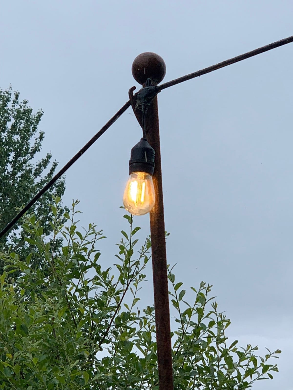 Studio Gudgeon, Festoon Light Poles, 2022 Gallery by the Lakes