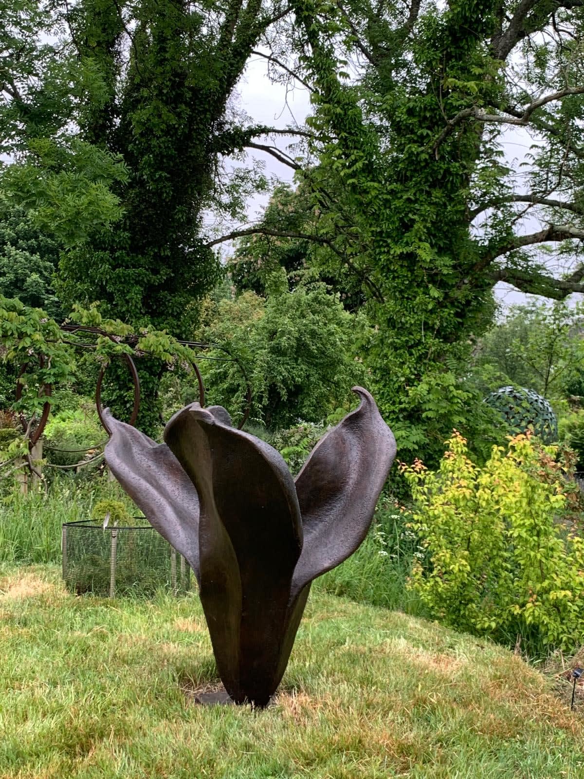 Anne Curry, La Promesse