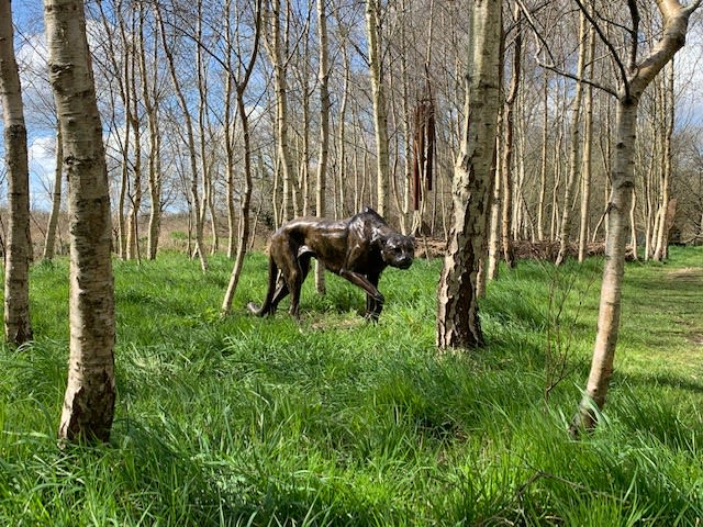 Gill Parker, LS Cheetah