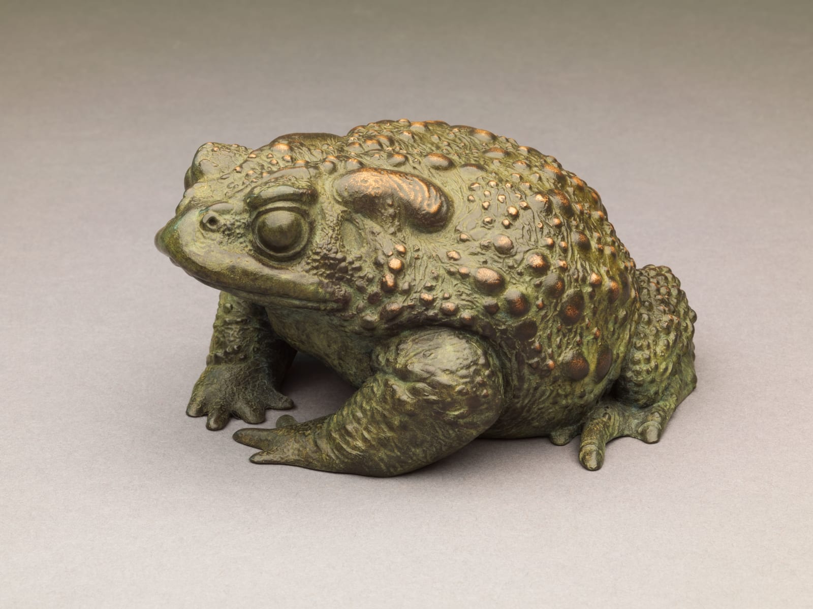 Nick Bibby, Toad II
