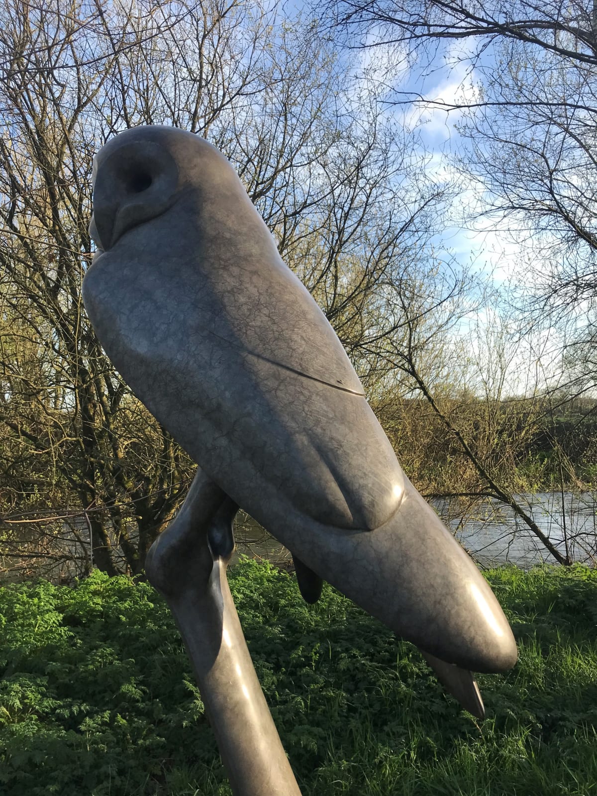 Carl Longworth, Barn Owl Resting