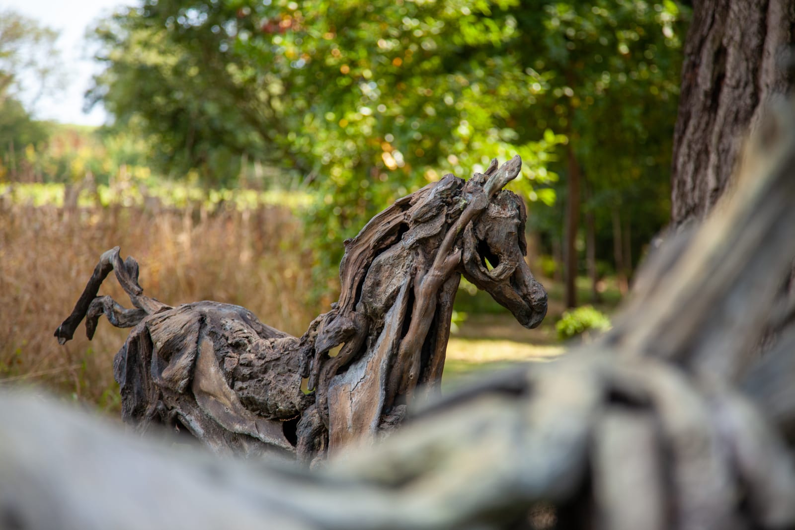 Heather Jansch, Sugar Plum
