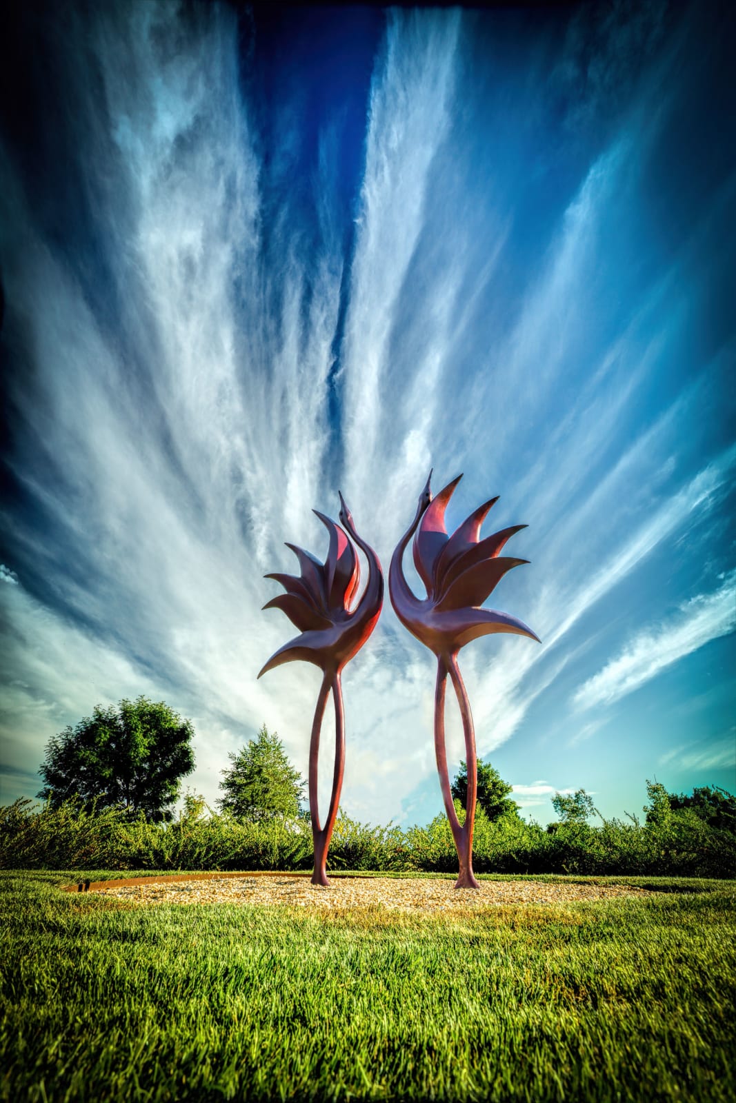 Simon Gudgeon, Dancing Cranes