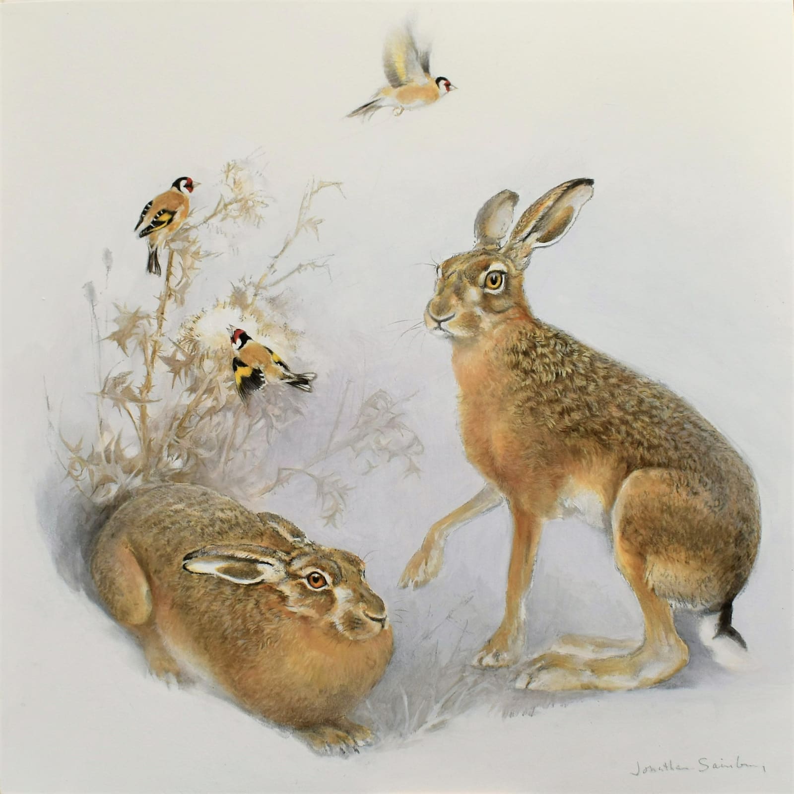Jonathan Sainsbury, Hares and Goldfinches