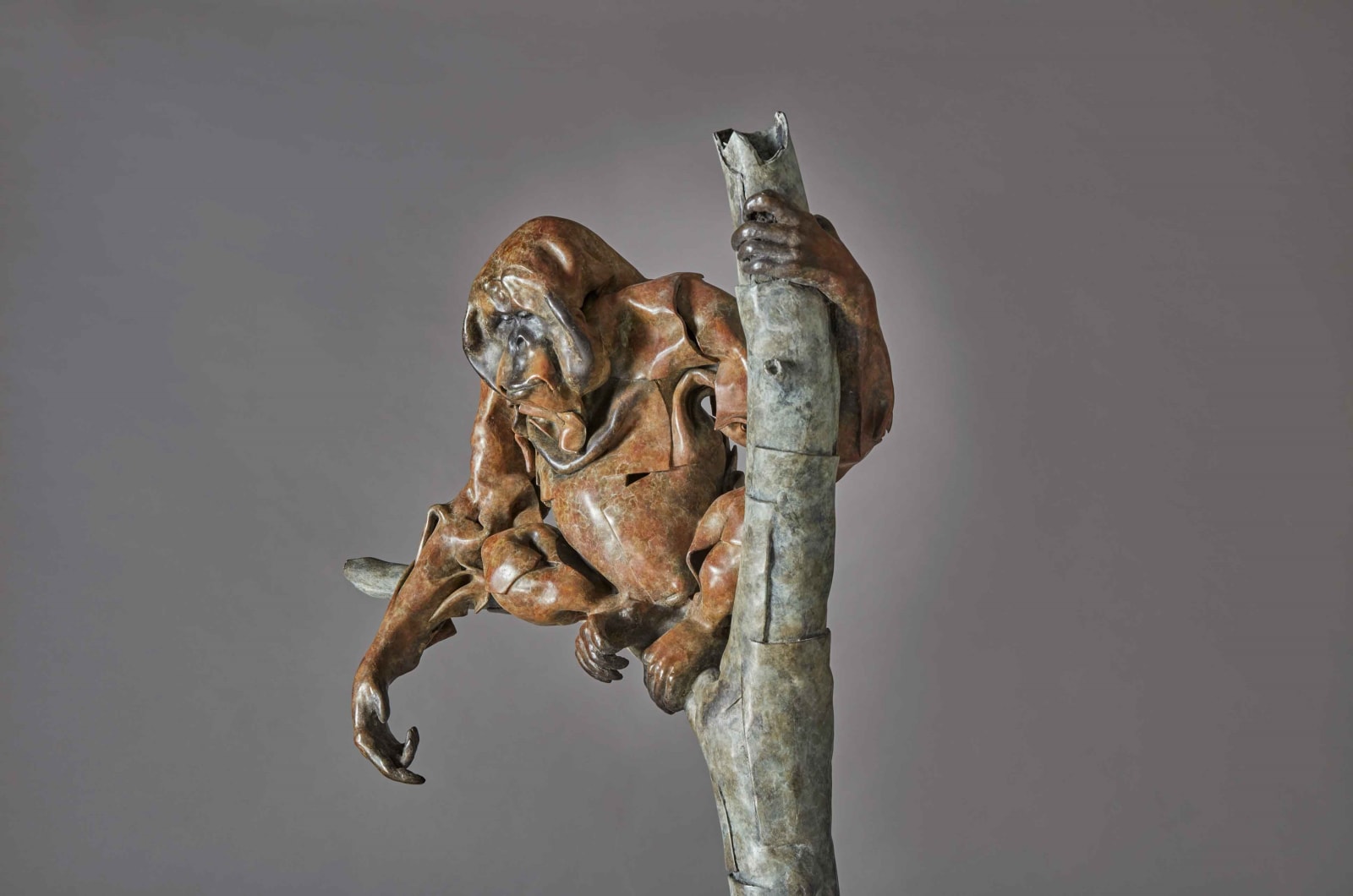 Fred Gordon, Bornean Orangutan, 2021