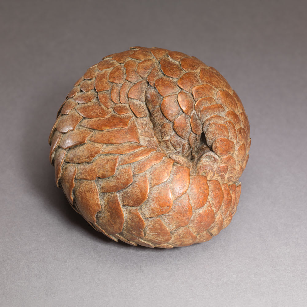 Nick Bibby, Pangolin