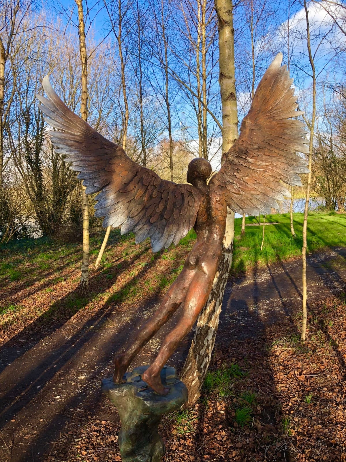 Nicola Godden, Icarus IX