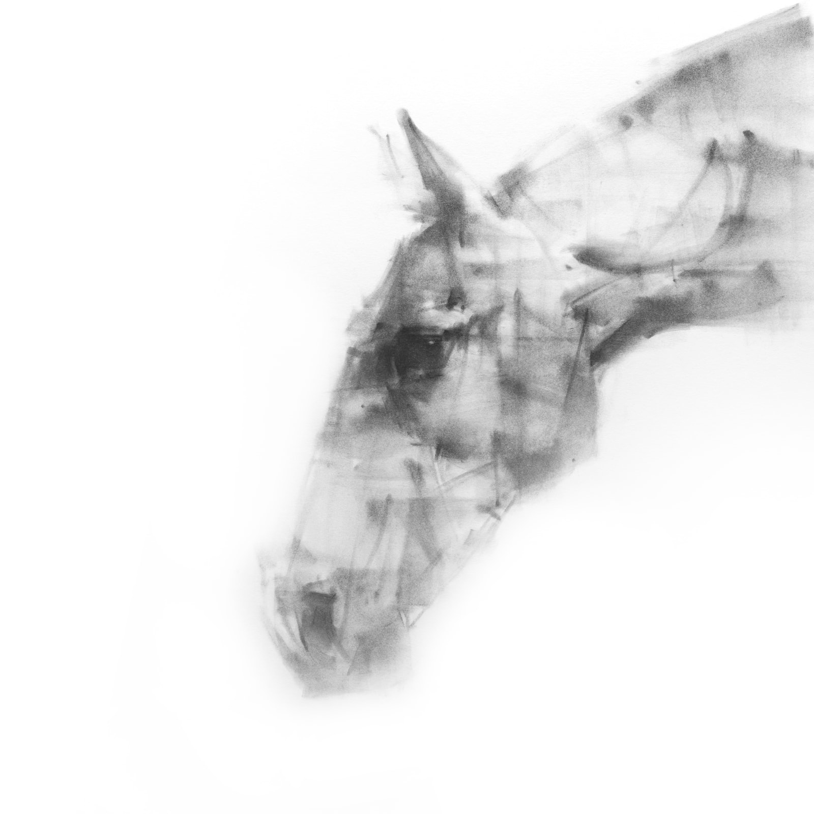 Tianyin Wang, In The Frame, 2024