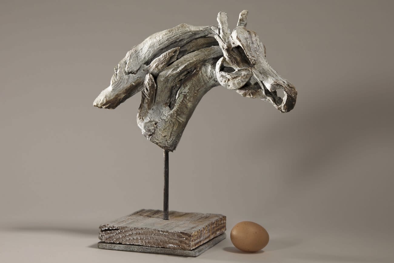 Heather Jansch, Rara