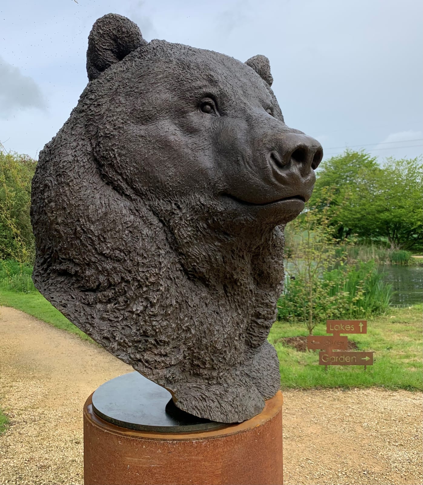Nick Bibby, Kodiak Brown Bear (Indomitable – Head Study)