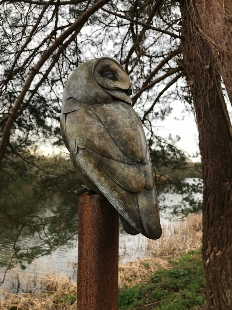 Adam Binder, Tawny Owl , 2022