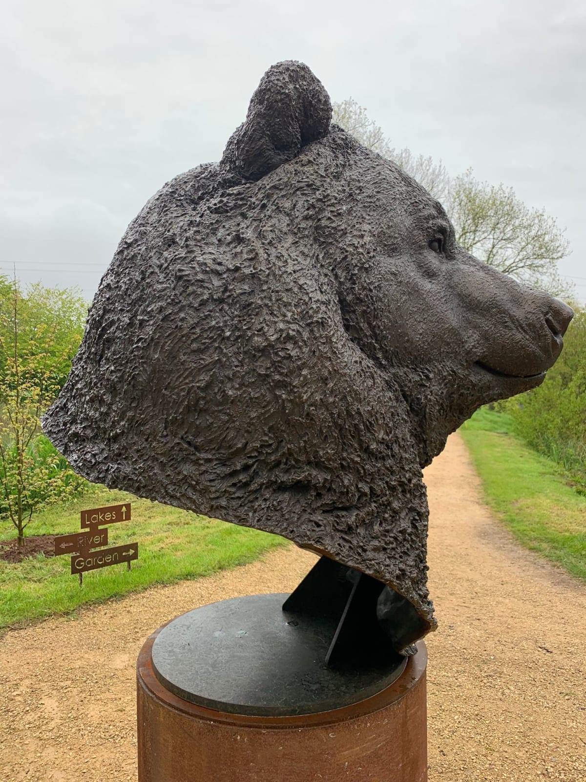 Nick Bibby, Kodiak Brown Bear (Indomitable – Head Study)