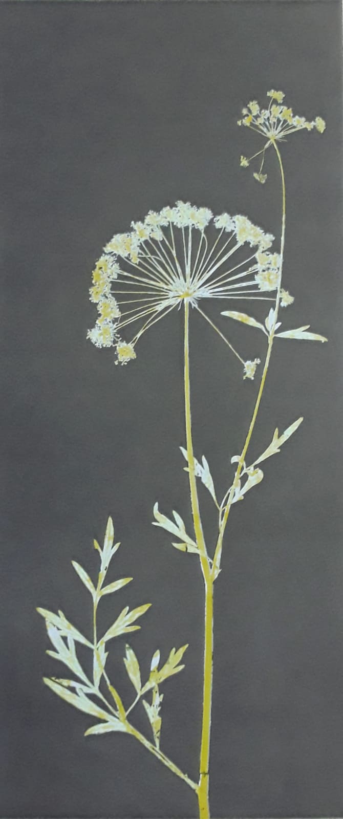 Robin Moorcroft, Poise 9