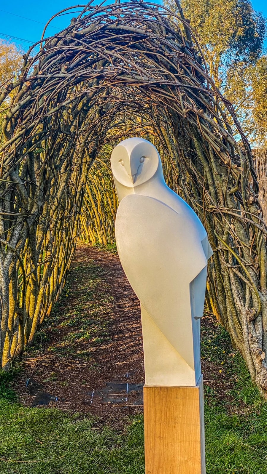 Paul Harvey, Barn Owl Landed