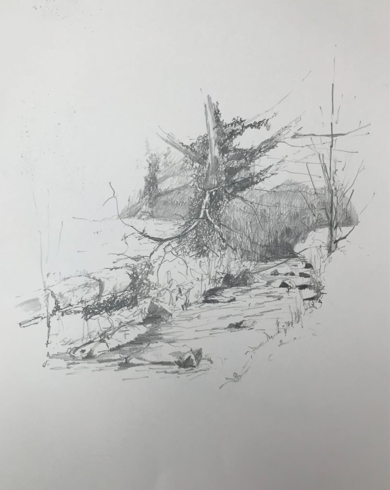 Stephen Bithell, The Brooke, nr the Retreat, 2022
