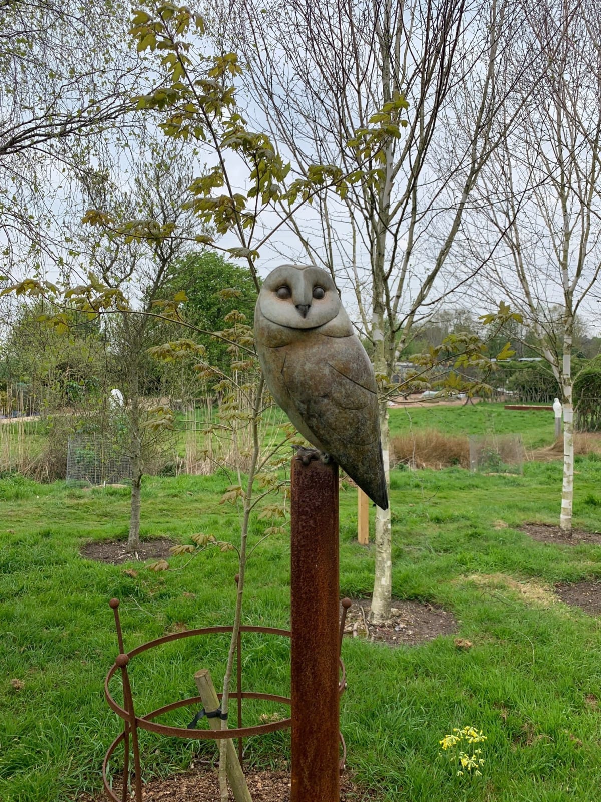 Adam Binder, Barn Owl , 2021