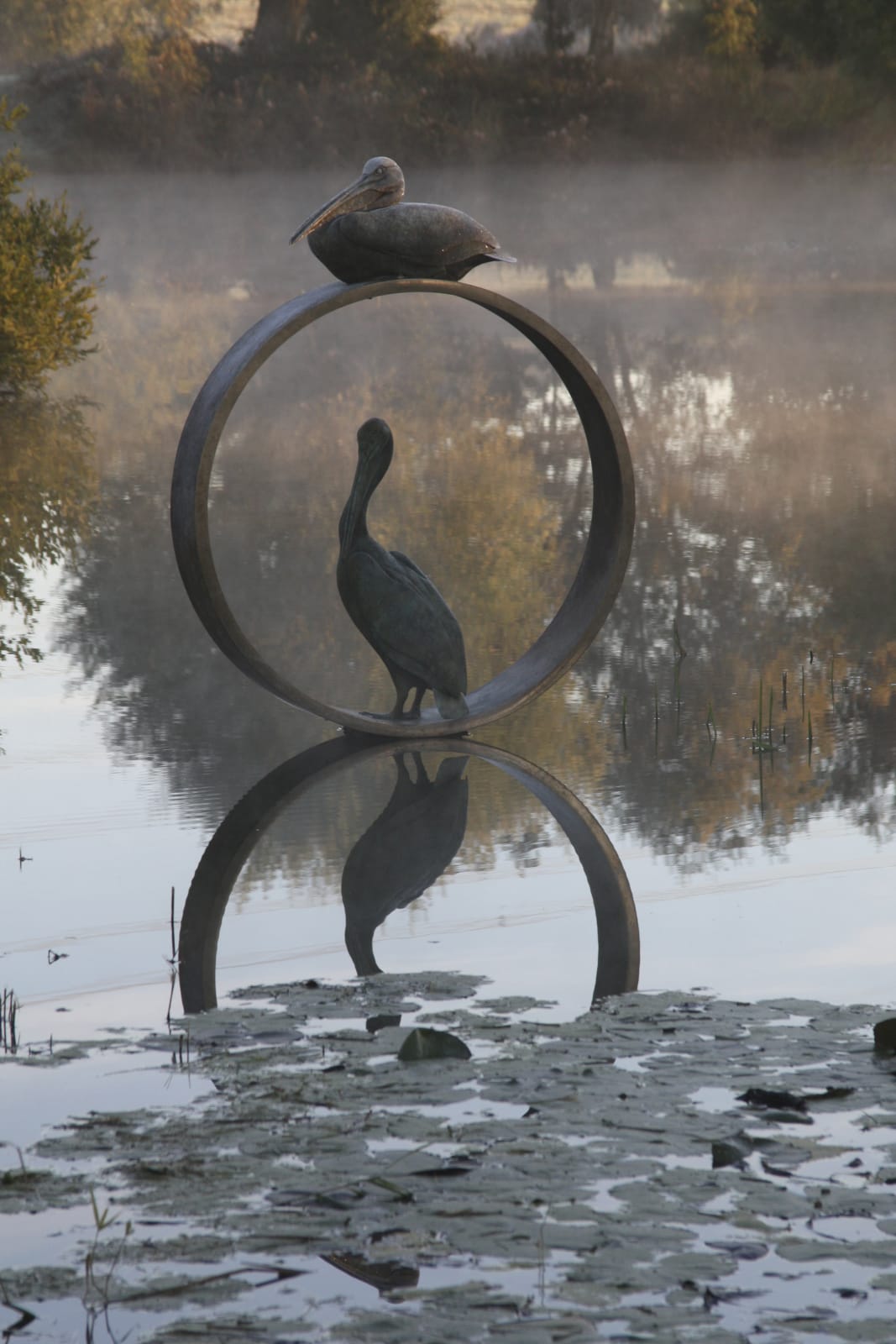 Simon Gudgeon, Pelicans