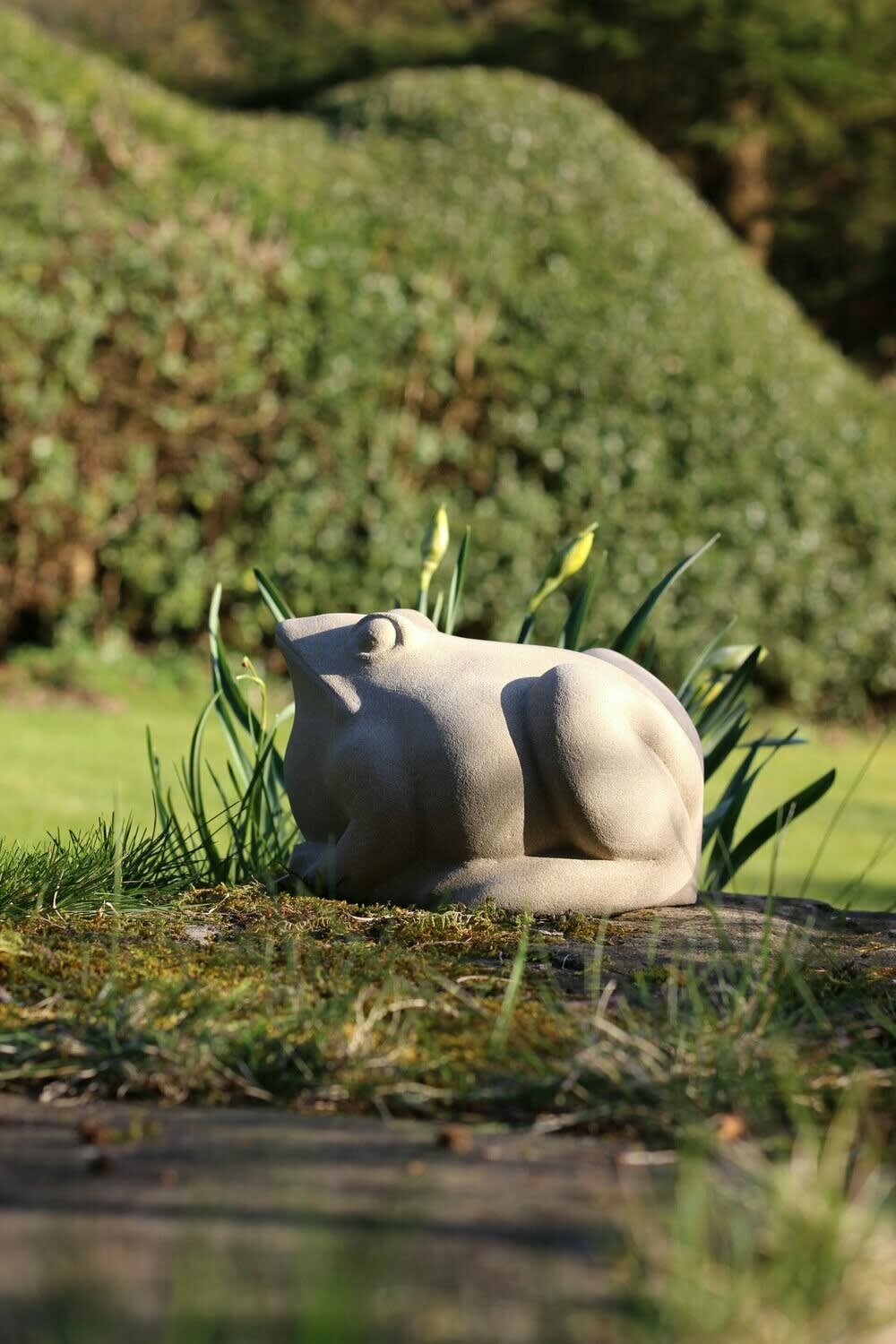 Jennifer Tetlow, Frog