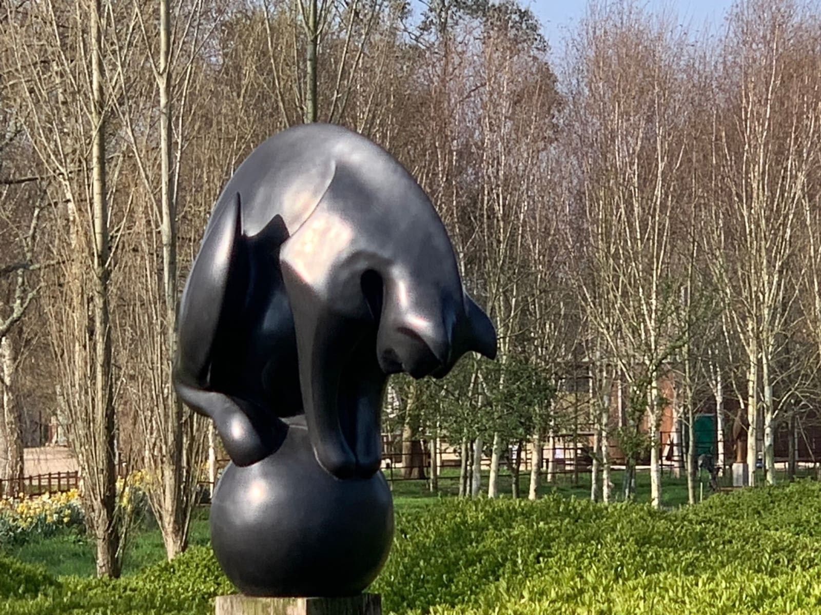Paul Harvey, Cat on Ball