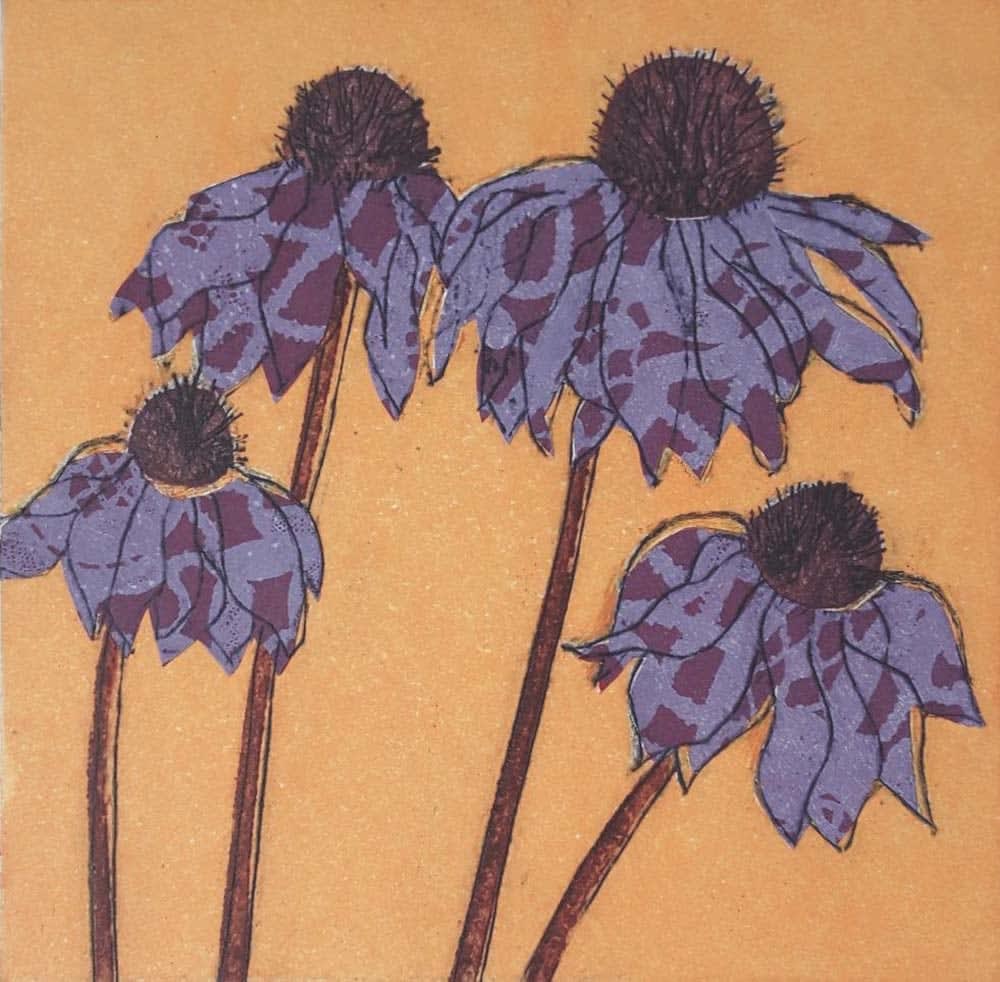 Robin Moorcroft, Echinacea