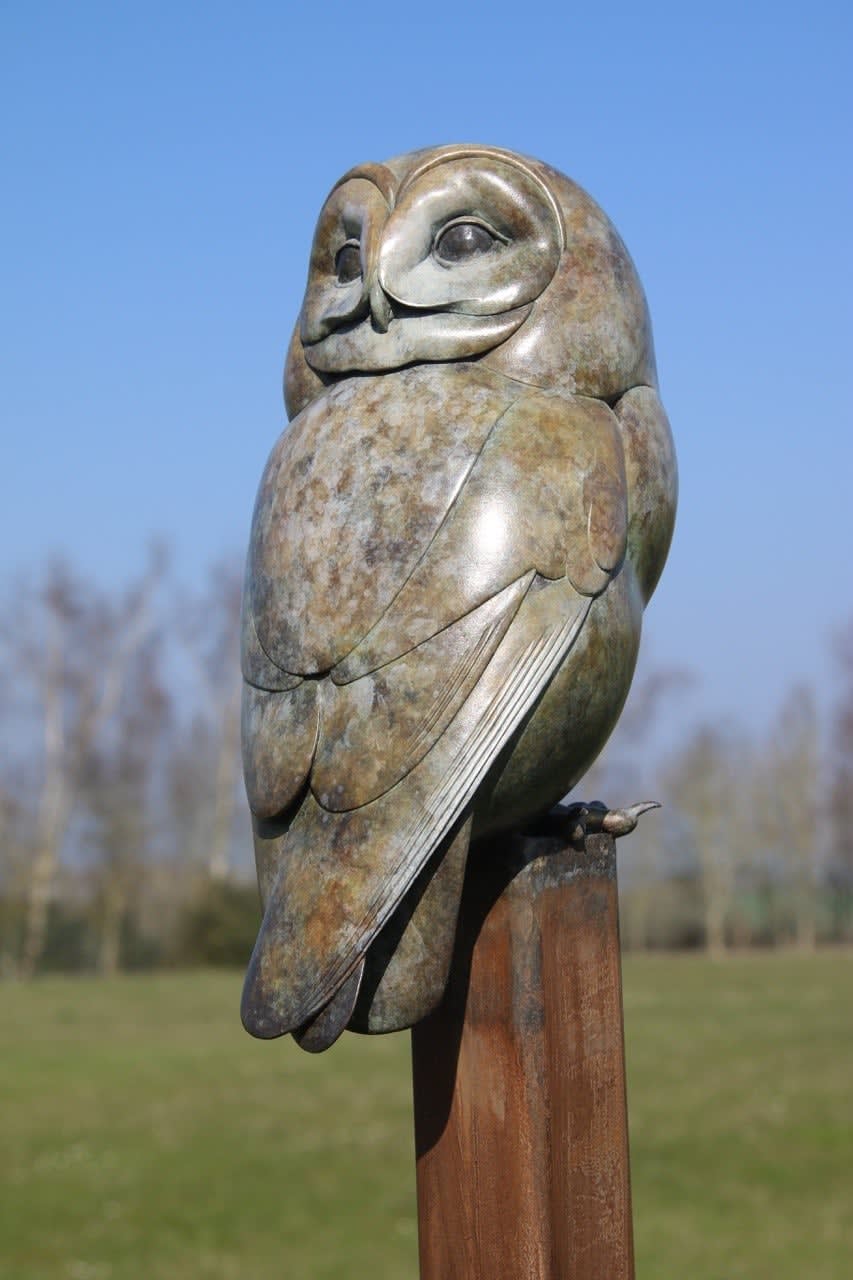 Adam Binder, Tawny Owl , 2022