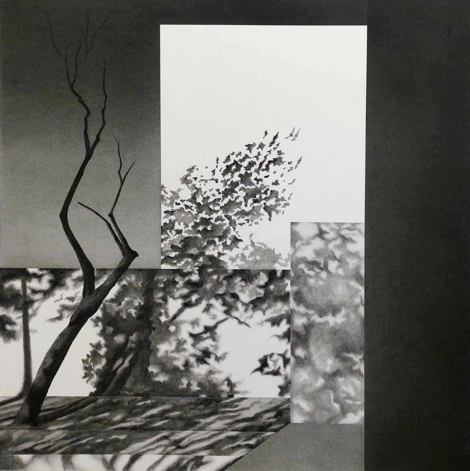 Jemma Appleby, #1310823