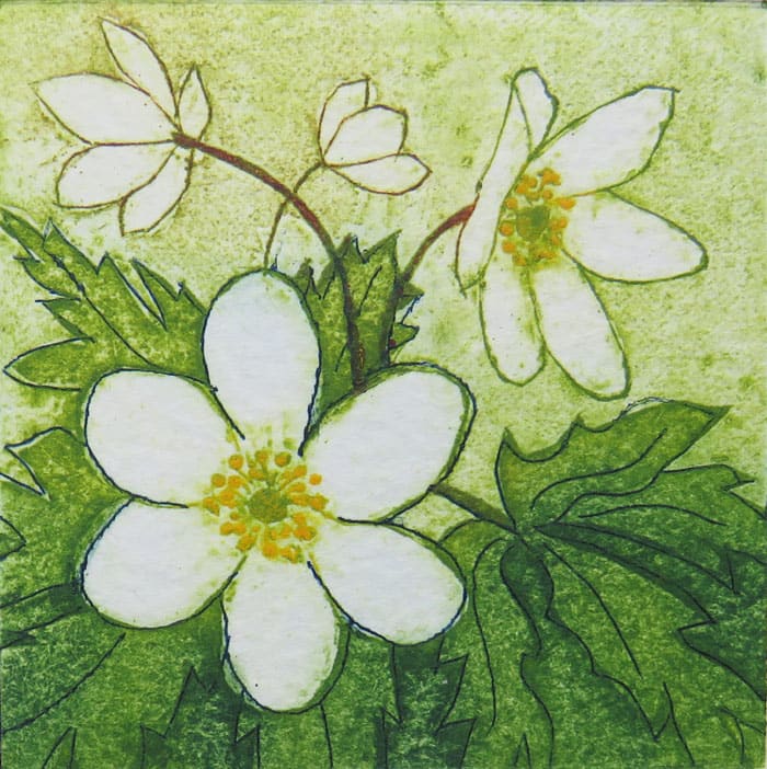 Robin Moorcroft, Windflower