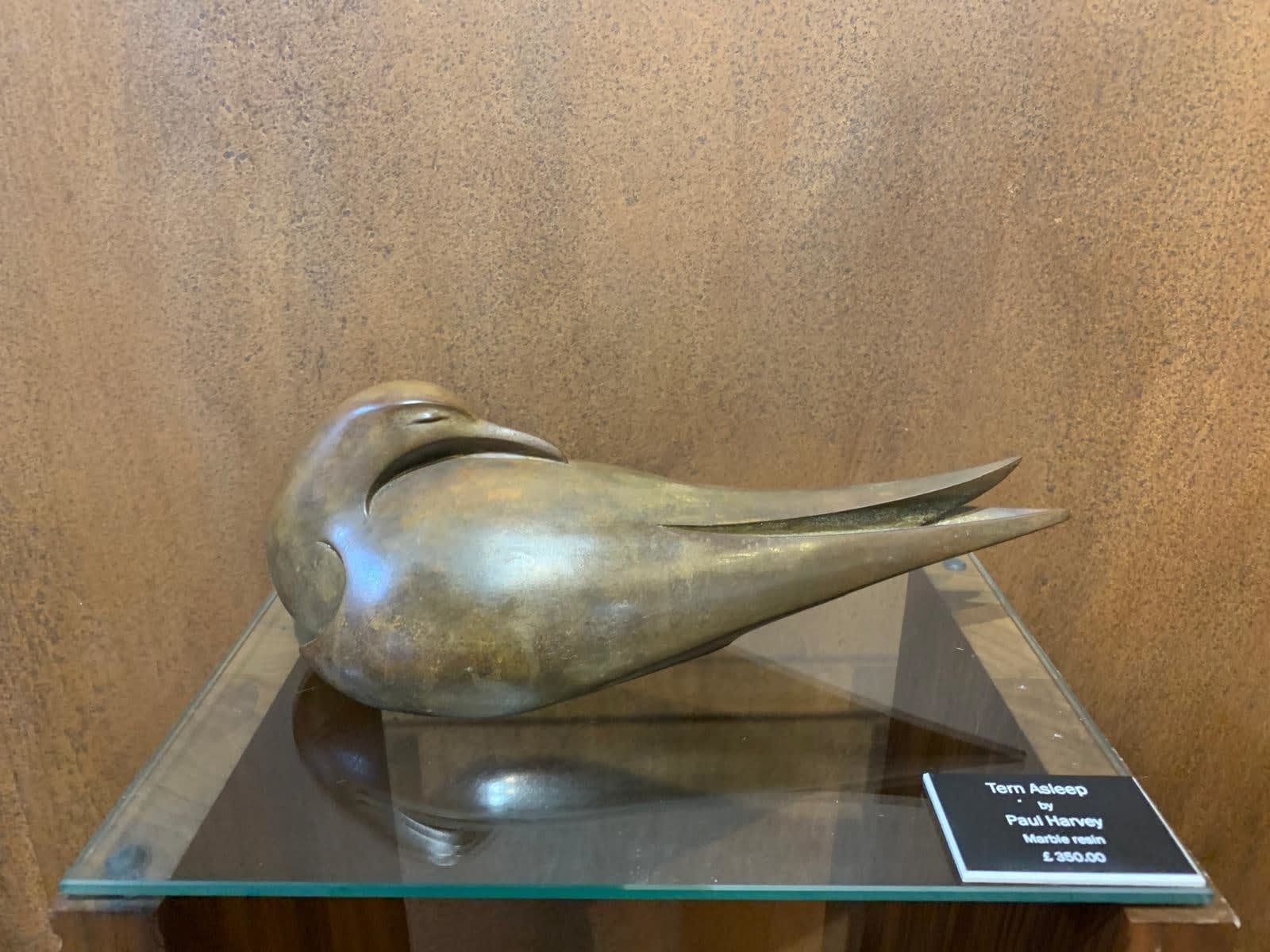 Paul Harvey, Tern Asleep