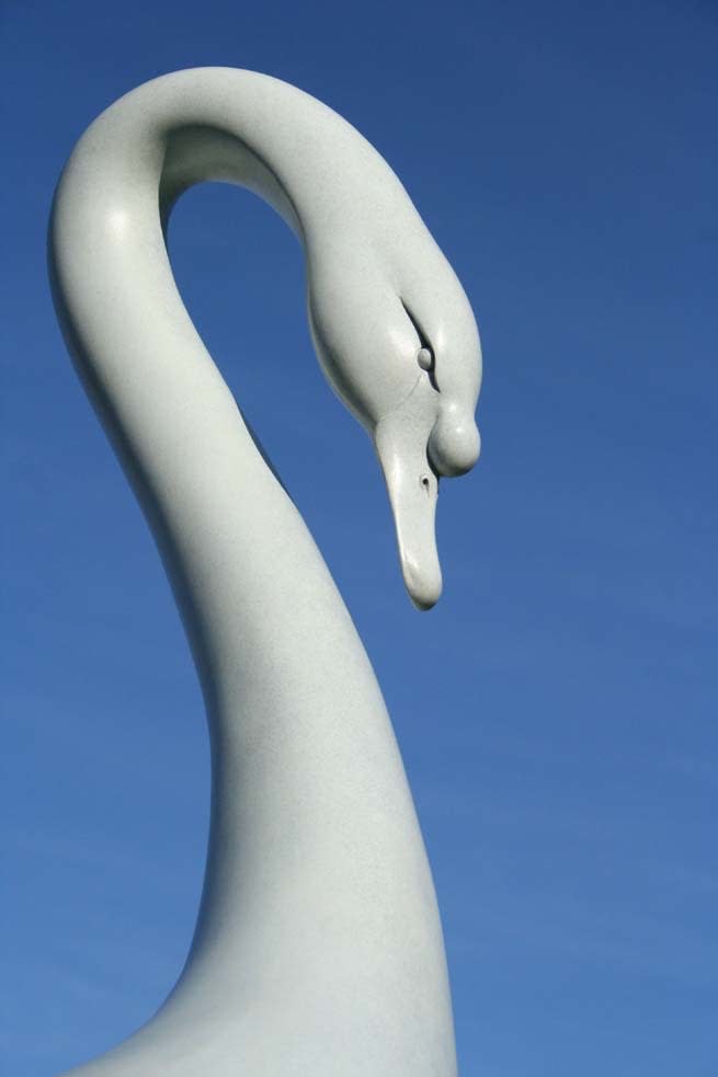 Adam Binder, Swan , 2013