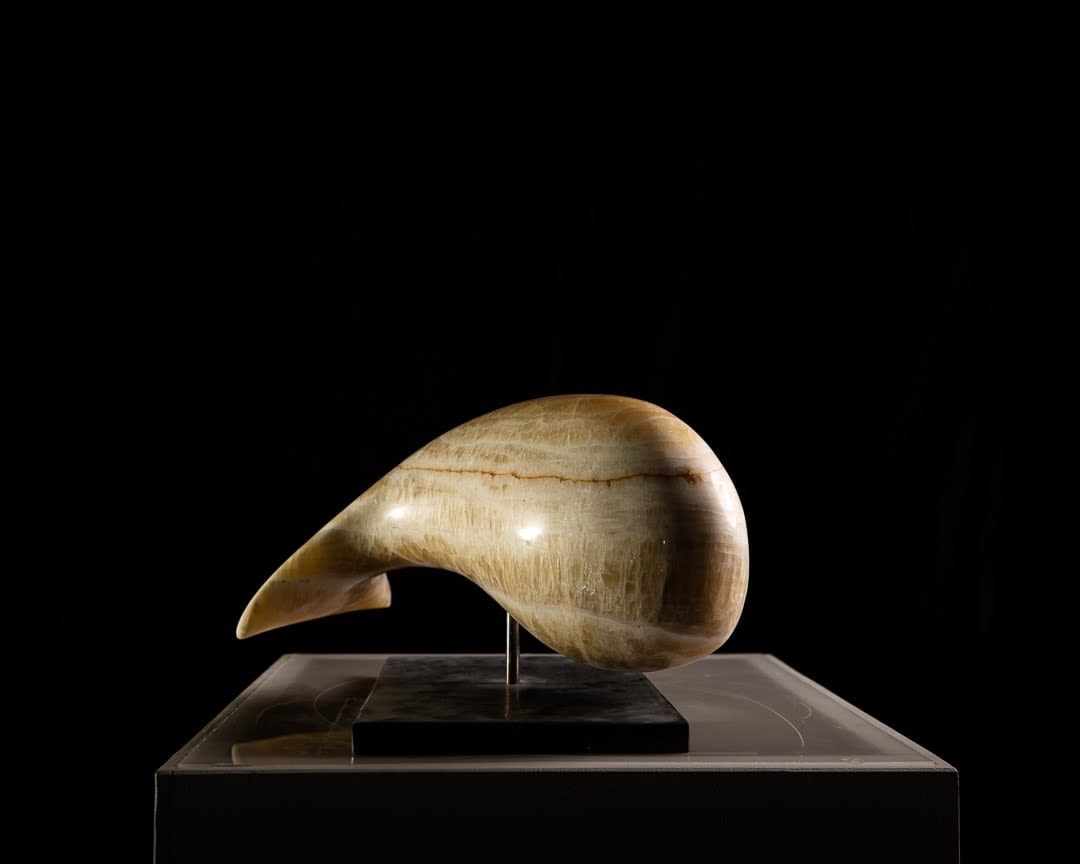 Jonathan Loxley, Honey Whale