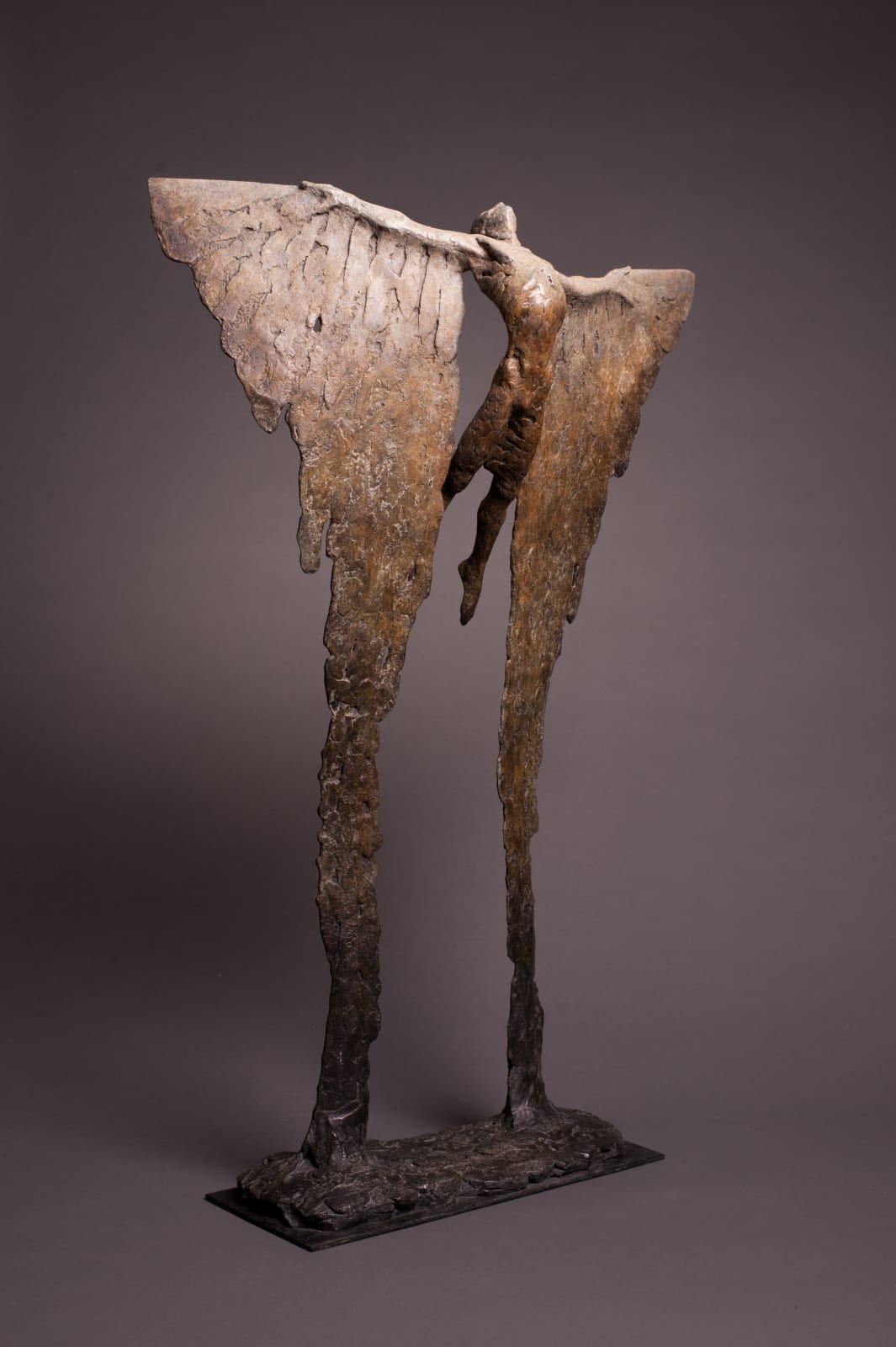 Nicola Godden, Icarus VIII