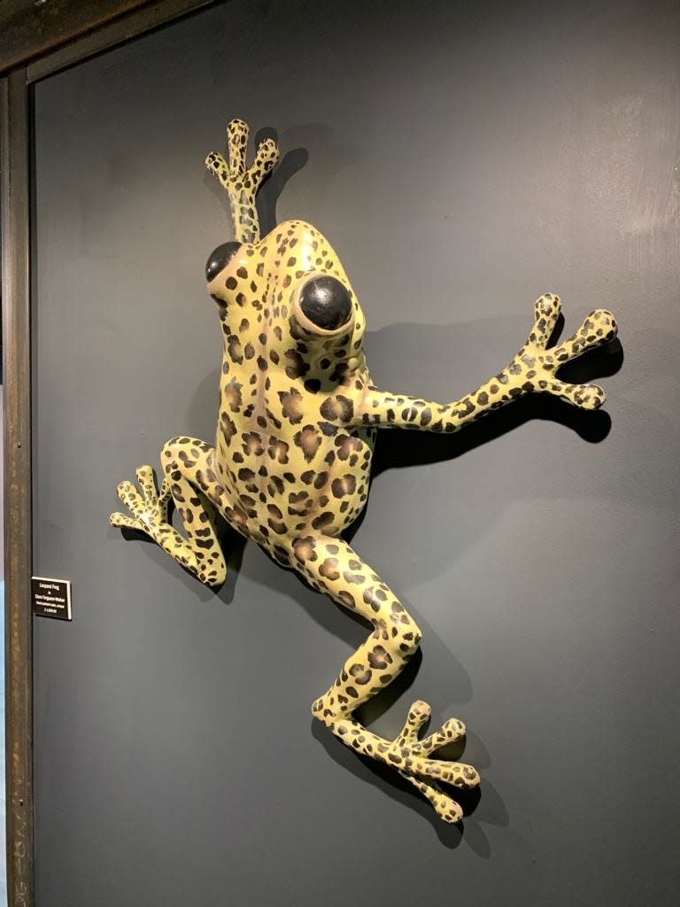 Clare Ferguson-Walker, Leopard Frog