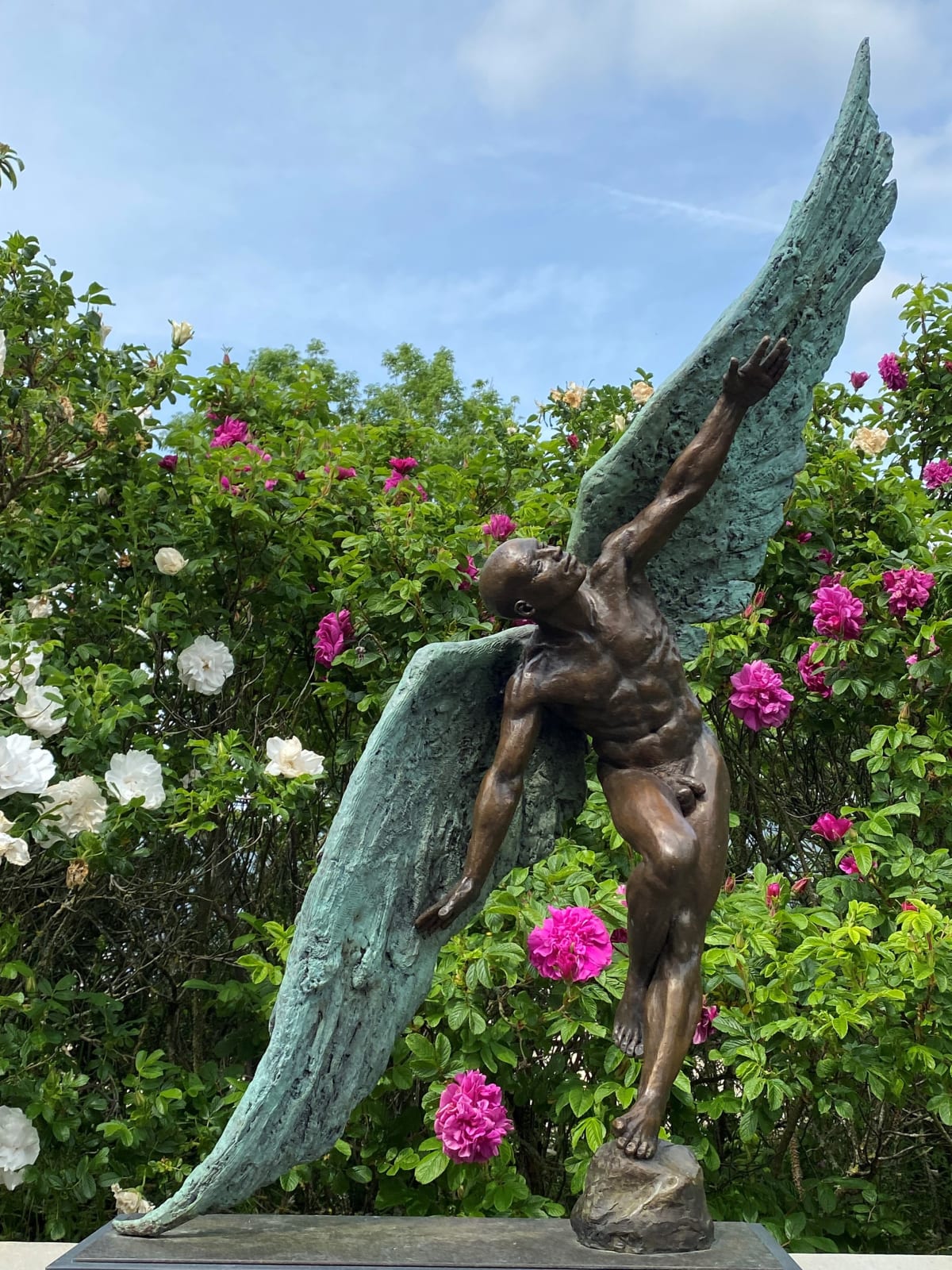 Lucianne Lassalle, Icarus Ascending II , 2023