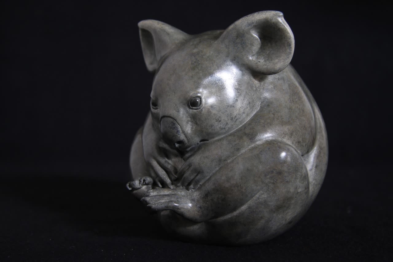 Adam Binder, Koala