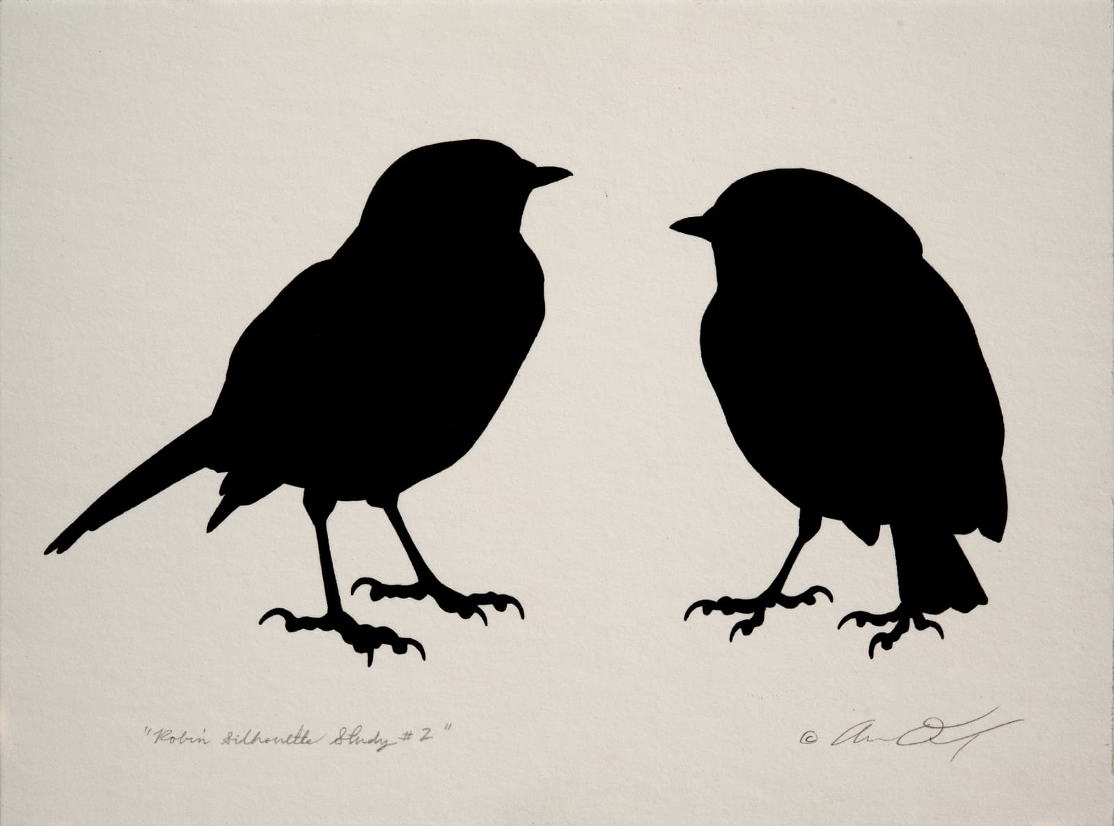 Andrew Denman, Robin Silhouette Study #2