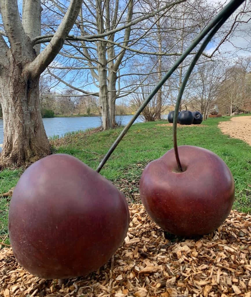 Simon Gudgeon, Cherries - A Pair, 2013