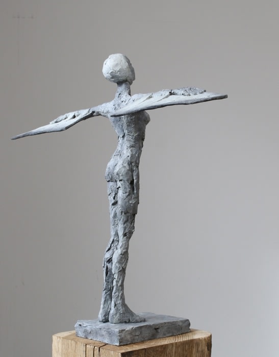 Carol Peace, Plain Girl
