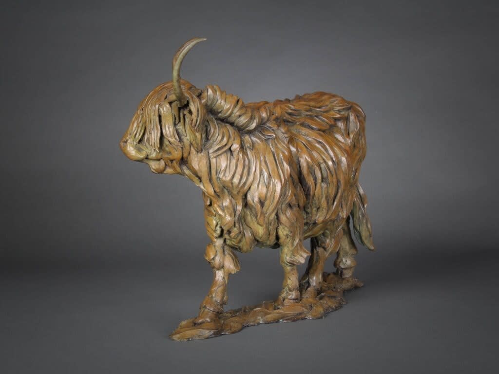 William Montgomery, Highland Cow, 2023