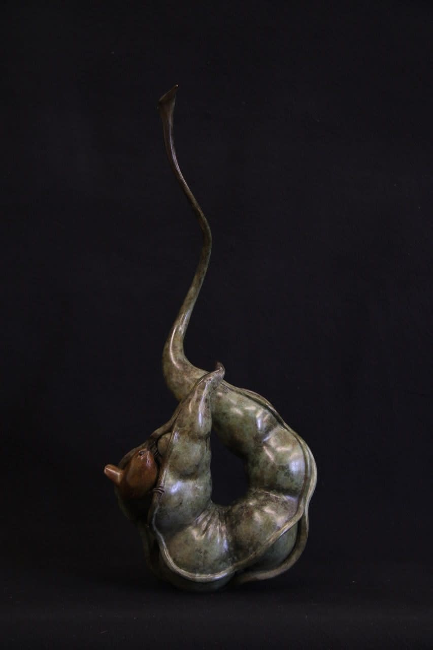 Adam Binder, Wren in a Pod