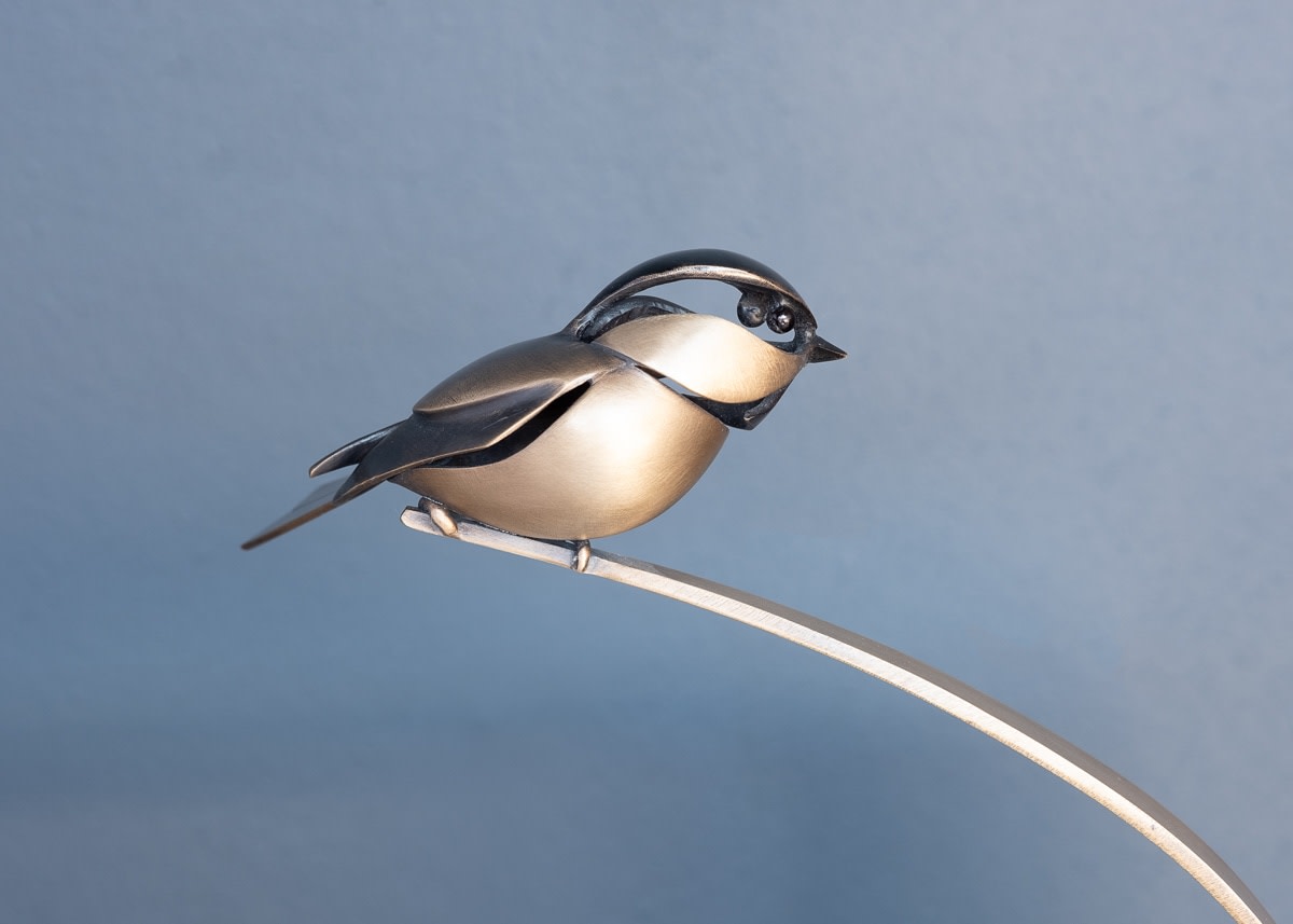 Don Rambadt, Willow Tit, 2021